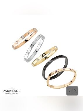 Park Lane “Jewel” Bracelet in Silver! NWOT!
